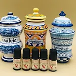 Bio Aia Del Tufo 农家乐 索拉诺