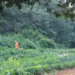 Bio Aia Del Tufo * 索拉诺